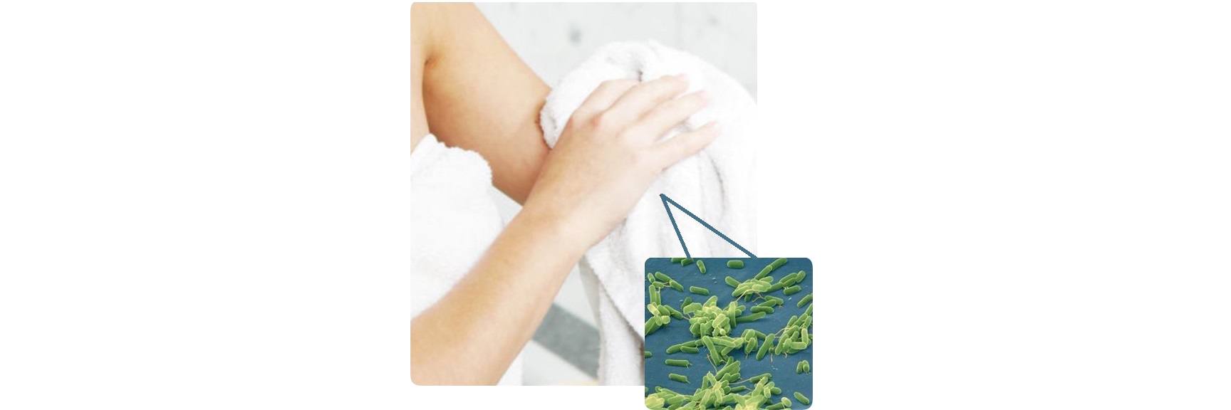 Zooming in on a section of a towel to show how a towel can be covered in bacteria